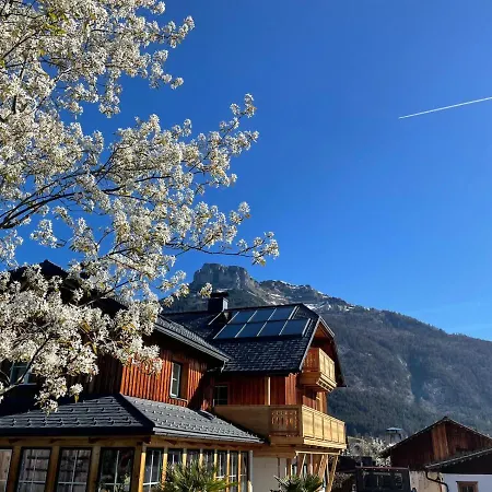 Flora - Your Austrian التوسي