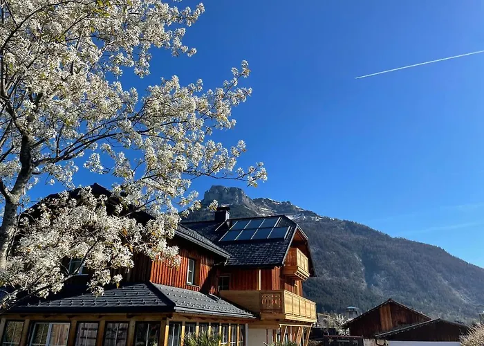 Flora - Your Austrian Altaussee