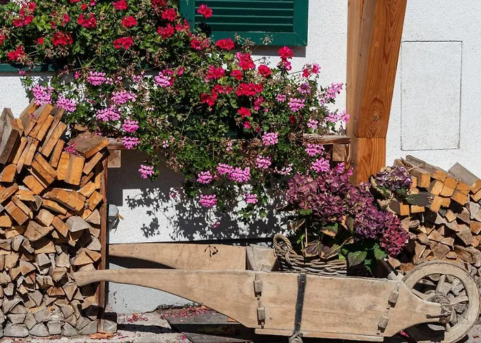 Flora - Your Austrian Apartament